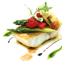 Fotografie Prisma®! - powered by Bscout® - Faire Suchmaschine & Netzwerk!