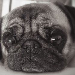 Tim Künzer Friseure - powered by Bscout® - Faire Suchmaschine & Netzwerk!