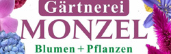 Gärtnerei Monzel e.K. - powered by Bscout® - Suchmaschine & Netzwerk!